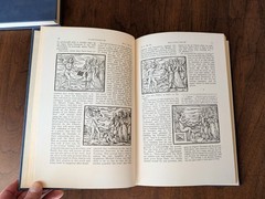 DEMONOLATRY & COMP. MALEFICARUM RARE OCCULT DEMONOLOGY WITCHCRAFT HARDCOVER