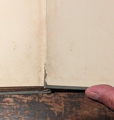 Yetta Segal by Horace J Rollin-NY: GW Dillingham-1898-1st Ed-Hardcover-174pages