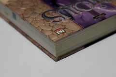 Ptolus Monte Cook’s City by the Spire Hardcover Dungeons & Dragons + Extra Book