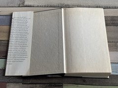 📚Buch Gruselgeschichten Poe bis Hemingway – Diogenes Sonderband mit Zeichnungen
