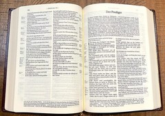 German Study Bible, Schlachter 2000, Burgundy Leather