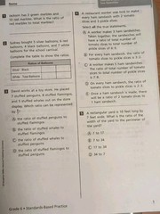 Into Math Ser.: Into Math : Getting Ready for High Stakes Assessment Grade 6 by