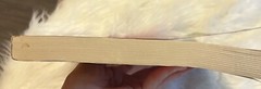 Practice Makes Perfect Complete Spanish Grammar Textbook By Gilda Nissenberg ‘11