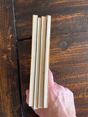 DTV Deutscher Taschenbuch Verlag – CORNELIUS NEPOS – Vitae PLAUTUS – Mostellia