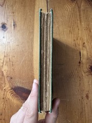 THE CALL OF THE WILD Jack London Antique 1906 Macmillan Illustrated Decorative