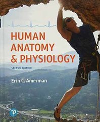 Human Anatomy & Physiology (Masteringa&p) – Hardcover, by Amerman Erin – Good