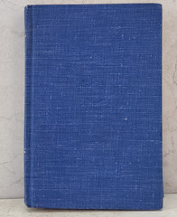 Great Spanish Stories by Angel Flores (editor) – Modern Library