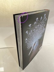 BIRDS by Tim Flach Hardcover Hardback Coffee Cocktail Table ART Photo Book