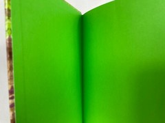 Zack, You’re Acting Zany playful poems and riveting rhymes by Marty Nystrom