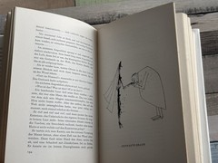 📚Buch Gruselgeschichten Poe bis Hemingway – Diogenes Sonderband mit Zeichnungen