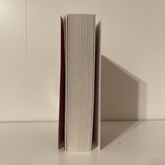 All the Colors of the Dark: a Read with Jenna Pick by Chris Whitaker