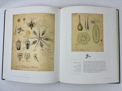 2007 Drawing Upon Nature: Studies for the Blaschkas’ Glass Models Botanical Ills