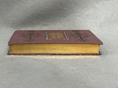 Antique Decorative German Book Girl’s Guide to Life Marie von Lindeman c. 1890s
