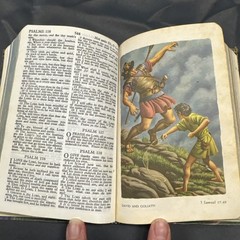 Vintage – Rainbow Bible – Children’s Illustrated KJV – Self-Pronouncing Bible
