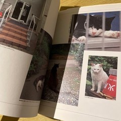 Studio Ghibli Cats Art Book Hayao Miyazaki Collectible Import form Japan