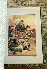 1910s Antique German Fairy Tale Book Die Schwanen Jungfrau by Gustav Nieritz VG
