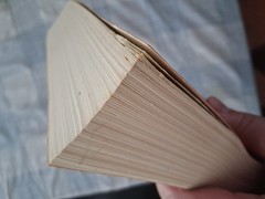 The Amplified Bible Giant Print Lockman Foundation Large Easy to Read AMP Bible