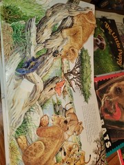 Fun Mixed Lot of Animal Children’s Books Lions Pop Up, Dogs, Bats, Wolves, Ducks