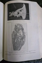 The Practitioners Library of Medicine and Surgery 1937 Eye, Ear, Nose, & Throat