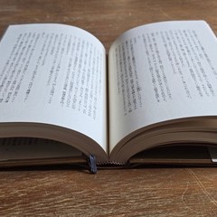 Shinchosha Saiichi Maruya Hardcover Japanese Novel Hardcover Book