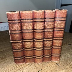 Lloyd’s Natural History 1896/97 BUTTERFLIES & MOTHS WF Kirby 5 Volumes