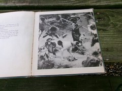 2 Children’s Book Pub. by Oxford University Press, FLOP-EARED HOUND/Real Photos