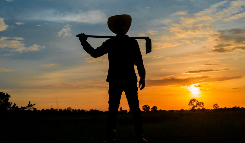 Male farmer holding a hoe in a field at sunset